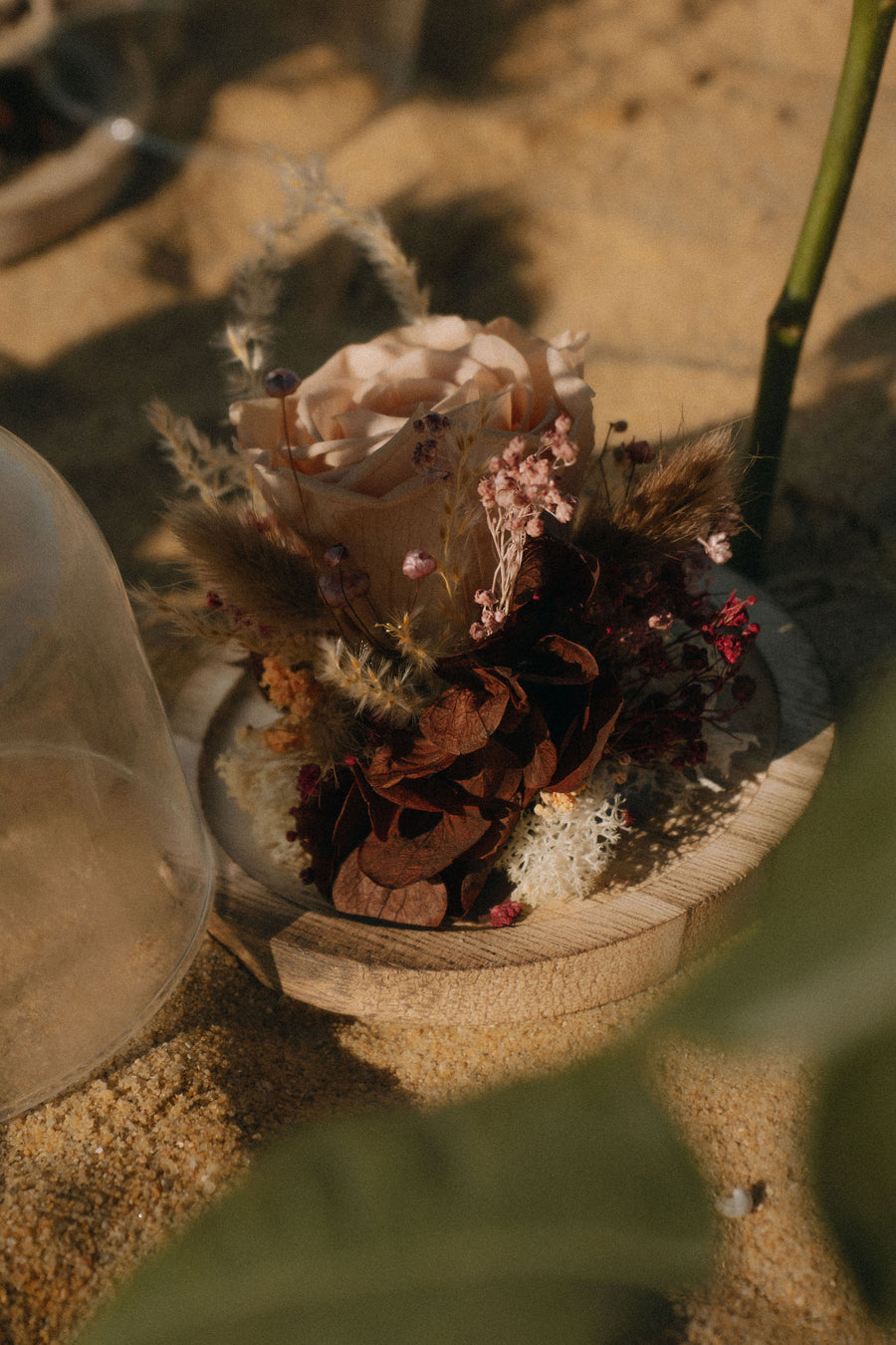Cloche en verre — Rose éternelle stabilisée sur socle bois