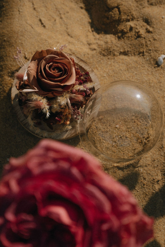 Cloche en verre — Rose éternelle stabilisée sur socle bois