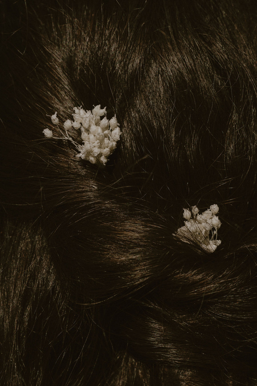 Montage broom bloom pour coiffure – Latte Brume